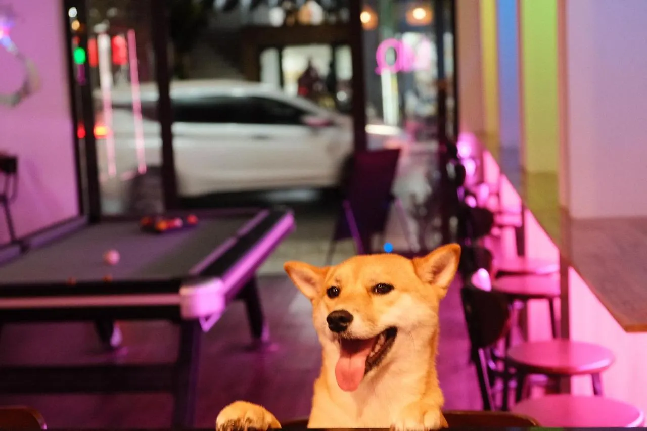 Mio. Hostel & Bar Da Nang